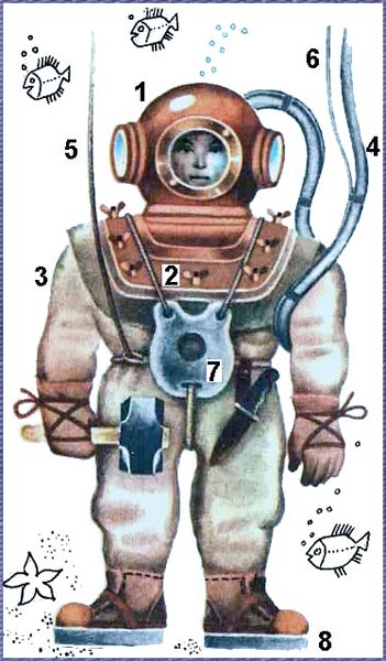 По морям вокруг Земли. Детская морская энциклопедия. Часть III i_061.jpg