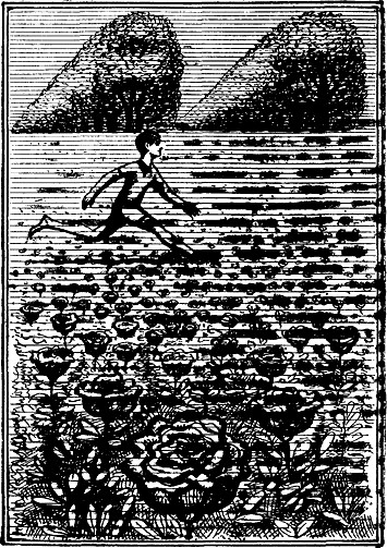 Бульвар Целакантус (сборник) i_008.jpg