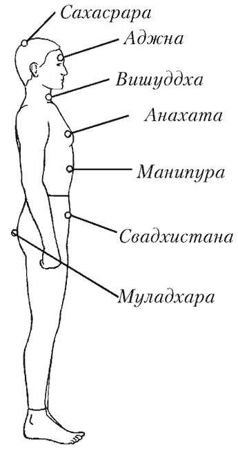 Деревья-целители _01.png