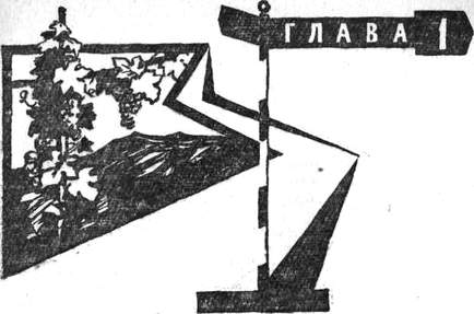 Через Кордильеры i_001.jpg