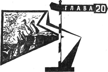 Через Кордильеры i_124.jpg