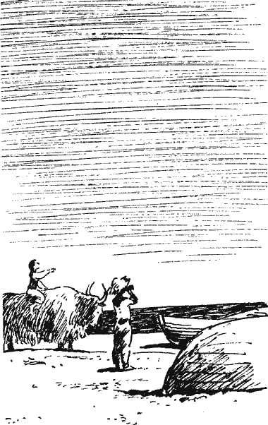 В двух шагах от дома Novos224.png