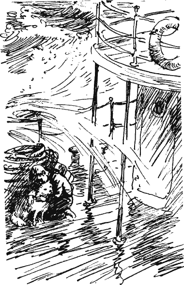 В двух шагах от дома Novos225.png