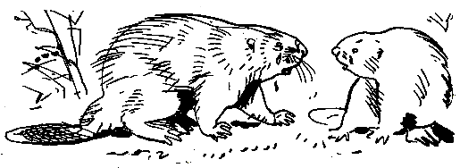 Ошибка короля зоопарков pic_64.png