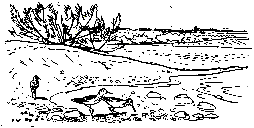 Ошибка короля зоопарков pic_100.png