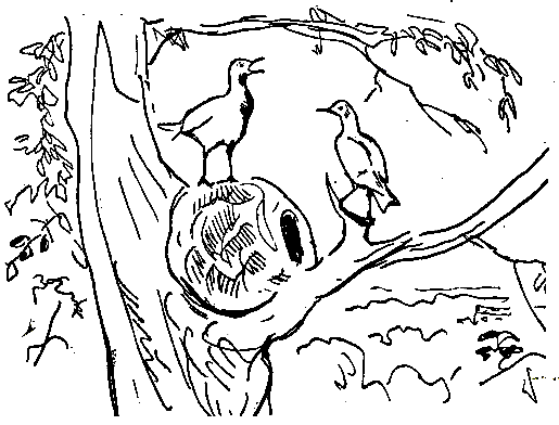 Ошибка короля зоопарков pic_103.png