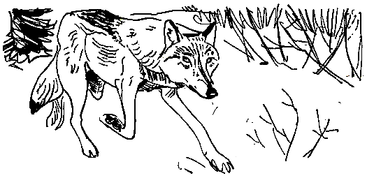 Ошибка короля зоопарков pic_130.png