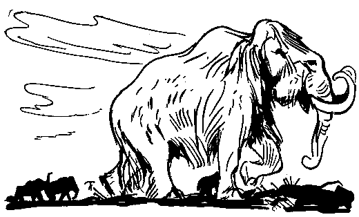 Ошибка короля зоопарков pic_132.png