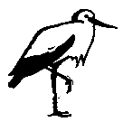 Ошибка короля зоопарков pic_52.png