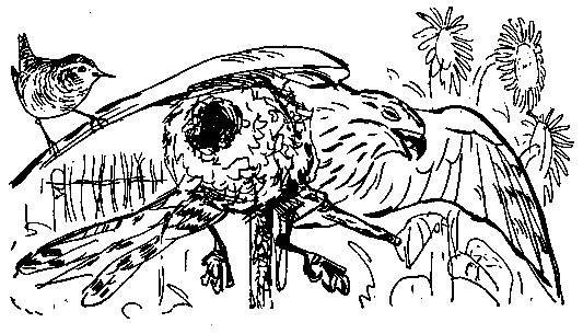 Ошибка короля зоопарков pic_57.png