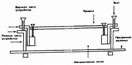 Четырехкрылые корсары _210.jpg