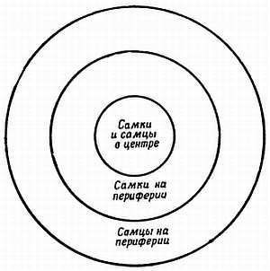 От пчелы до гориллы _77.jpg