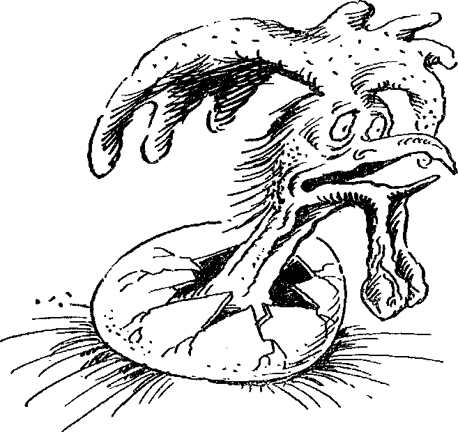 ПОИСКИ ИСТИНЫ pic_12.png
