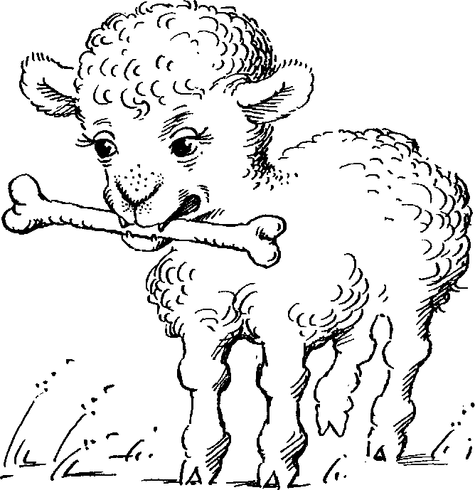 ПОИСКИ ИСТИНЫ pic_13.png