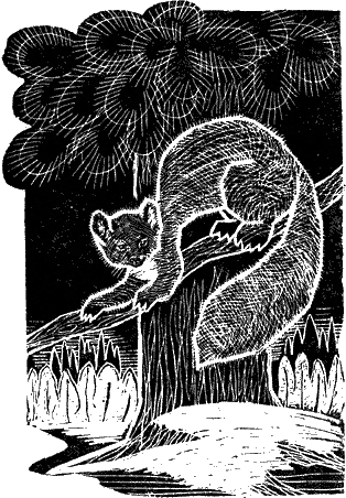 Дикарь i_001.png