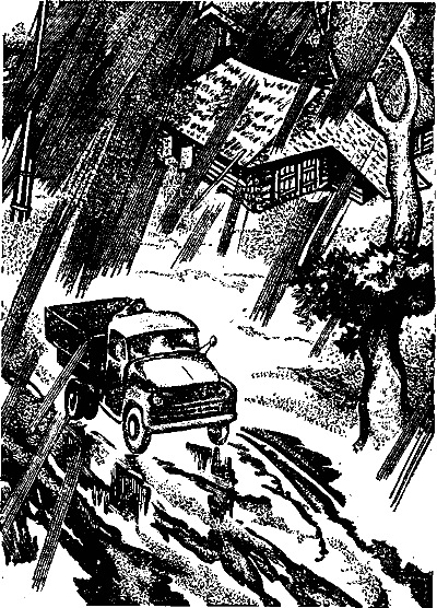 Журавлиное небо i_006.png