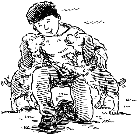 Звездные лапы i_015.png