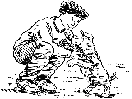 Звездные лапы i_004.png