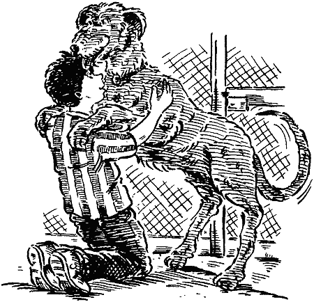 Звездные лапы i_006.png