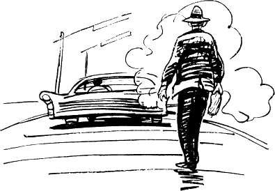 Четвертый позвонок, или мошенник поневоле (с илл.) _50.png