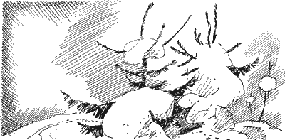 Лесной рассказ Sob23100.png