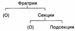 Первобытное мышление picture009.png