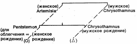 Первобытное мышление picture017.png