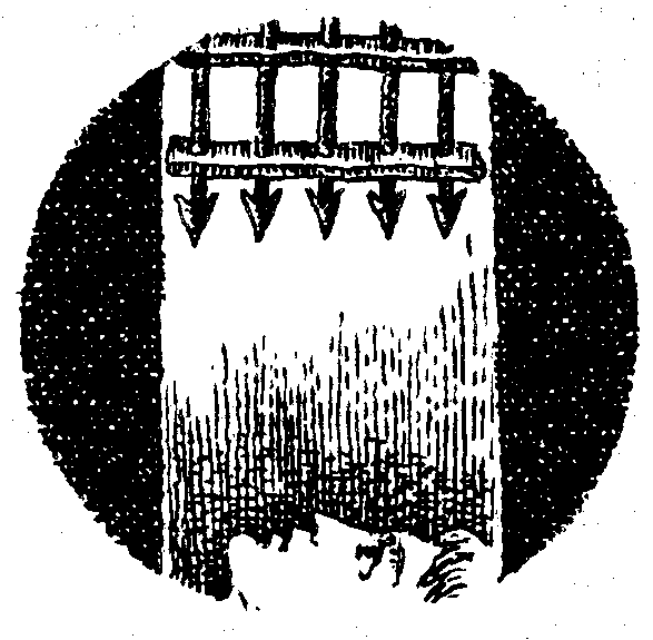 Ковчег Всесвіту doc2fb_image_03000016.png