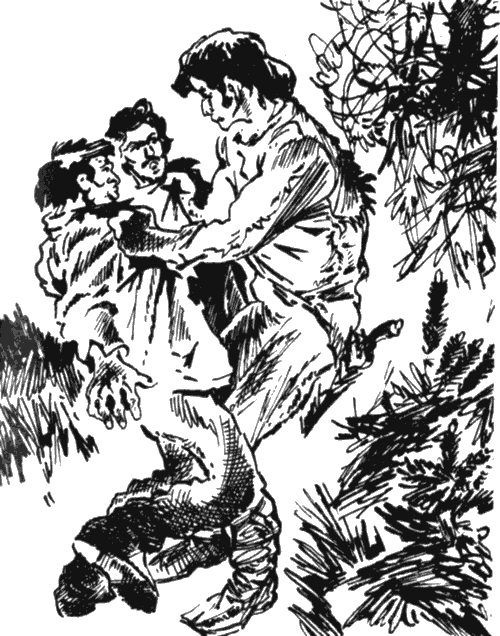 Джентльмен с Медвежьей речки (сборник) i_008.png