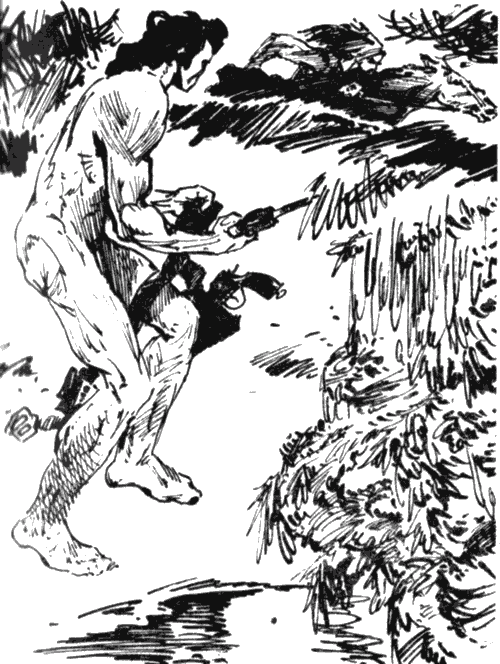 Джентльмен с Медвежьей речки (сборник) i_004.png