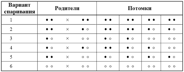Разведение собак _01.png