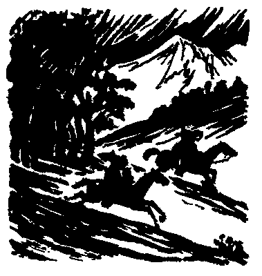 Мамлюк i_002.png