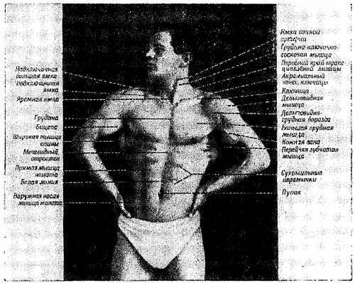 Спортивный массаж _94.jpg