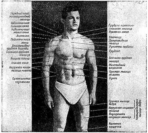 Спортивный массаж _95.jpg