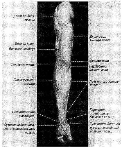 Спортивный массаж _104.jpg