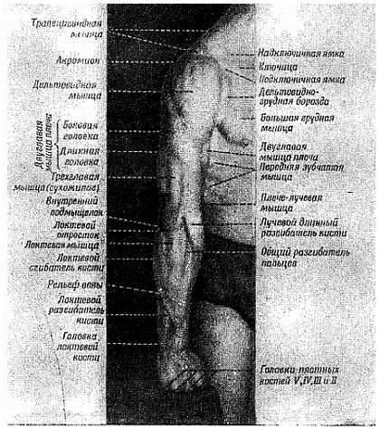 Спортивный массаж _105.jpg