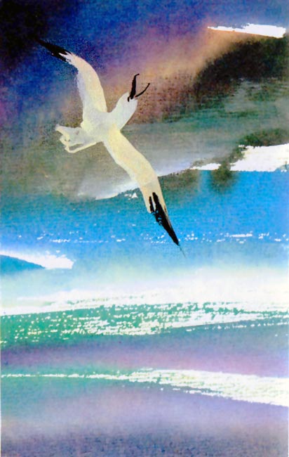 Байкала-озера сказки Том I  разд.1 i_047.jpg