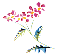 Байкала-озера сказки Том I разд.2 i_083.png
