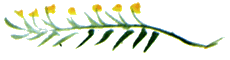 Байкала-озера сказки Том I разд.2 i_085.png