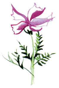 Байкала-озера сказки Том I  разд.2 i_092.png