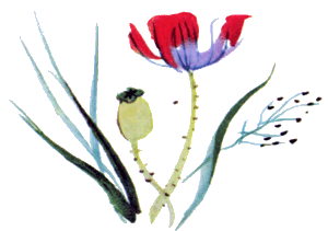 Байкала-озера сказки Том I  разд.2 i_009.png