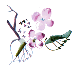 Байкала-озера сказки Том I  разд.2 i_072.png