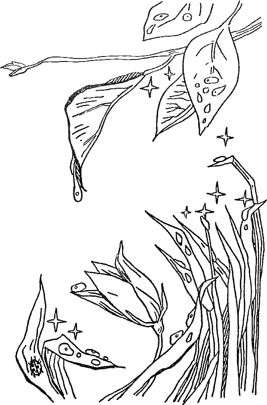 Мир русского знахаря - первые уроки i_002.png