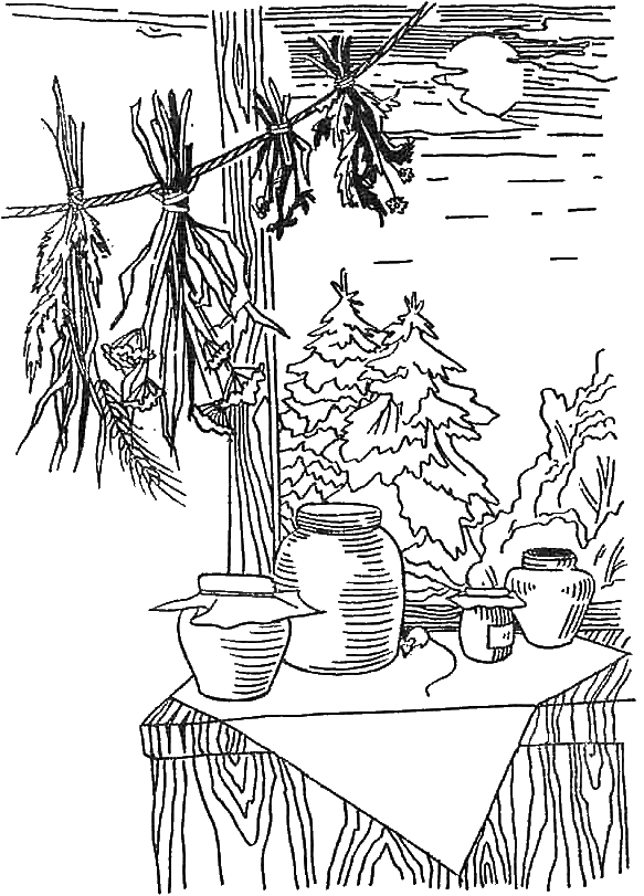 Мир русского знахаря - первые уроки i_003.png