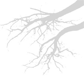 Her Fearful Symmetry pic_5.jpg
