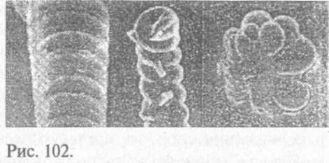 Сошедшие с небес и сотворившие людей img_108.jpeg