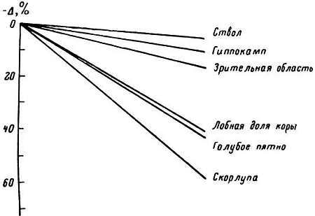 Старение и увеличение продолжительности жизни _08.jpg