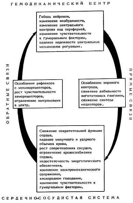 Старение и увеличение продолжительности жизни _31.jpg