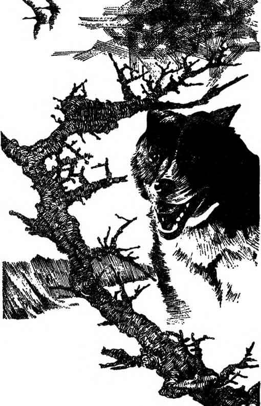 Десять баллов по Бофорту (сборник) i_012.jpg