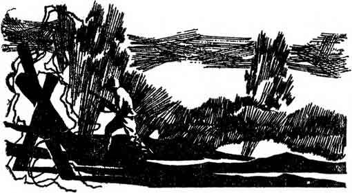 Десять баллов по Бофорту (сборник) i_013.jpg